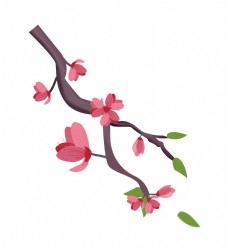 粉色春天樱花插图