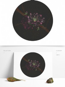 特色透明桃花粉色枝叶发光线条春花独特插画图标