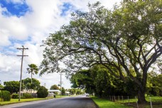 天空澳洲的马路和路边的大树