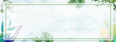清新绿色植物banner