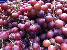 水果节高清细节水果葡萄