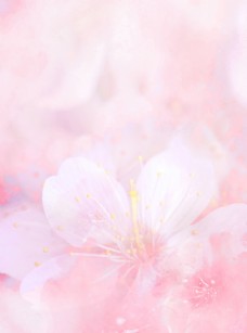 唯美背景春天粉色唯美樱花背景