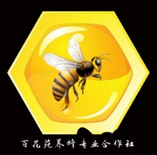 蜂蜜蜜蜂矢量图蜂蜜卡通蜂