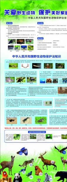 野生动物保护法宣传展架