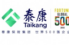 国外名家矢量LOGO泰康500强logo