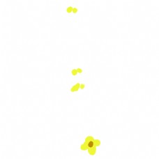 黄色花瓣漂浮物