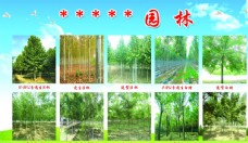 树木园林绿化