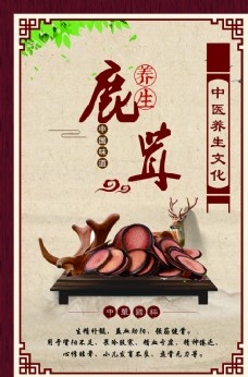 中华文化鹿茸