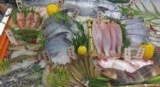 食材海鲜海鲜食材海鱼鱼类海虾