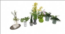 室内盆栽植物SU模型