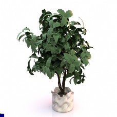 室内小树小清新盆栽模型