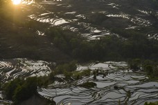 夕阳梯田风景摄影图片