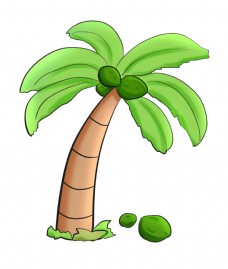 大暑夏天暑假大海椰子树