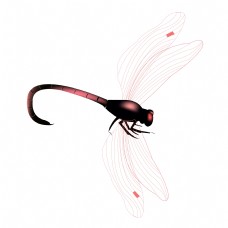 特色唯美飞舞黑色蜻蜓