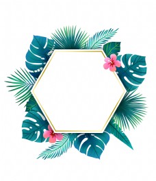 度假六角形热带植物边框