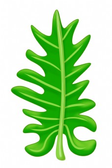 热带植物叶子