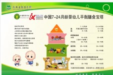 婴儿中国724月龄婴幼儿平衡膳食