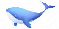 可爱蓝色鲸鱼