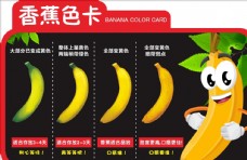 果蔬香蕉