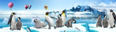 企鹅世界冰雪世界企鹅