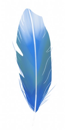 蓝色立体羽毛装饰