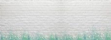 白色砖头背景墙和小草
