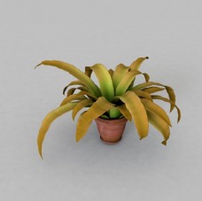 C4D模型花盆