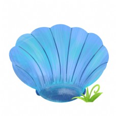 贝壳海洋蓝色海洋贝壳