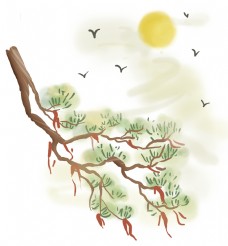 树木松树和飞鸟
