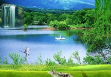 天鹅湖山水风景画