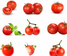 9款西红柿