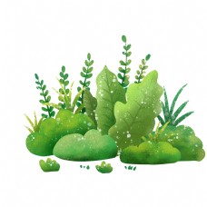 夏日绿色淡彩植物png免抠图