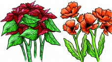 玫瑰花束手绘彩色花束花朵玫瑰