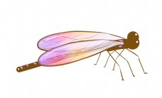 水彩图案蜻蜓