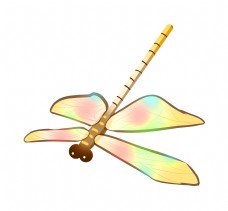 彩色蜻蜓昆虫