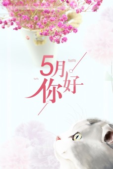 简约清新五月你好文艺猫咪背景海报