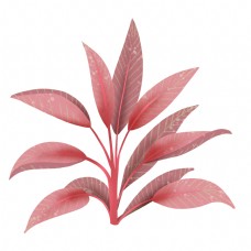 红色热带植物