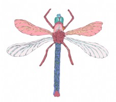 粉色翅膀卡通蜻蜓