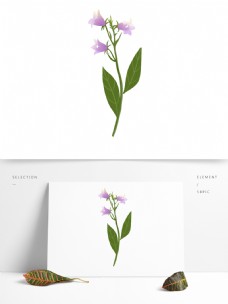 手绘简约水彩花卉png透明素材