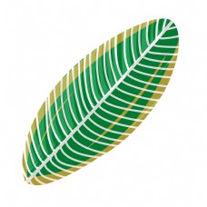 绿色热带植物叶子