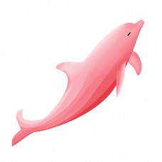 粉色海豚生物