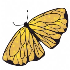 黄黑色蝴蝶