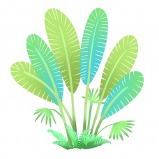 热带植物绿植