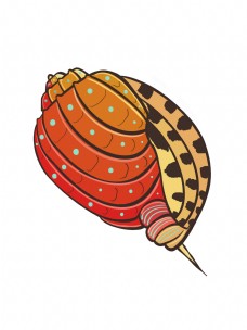 贝壳海洋海洋生物贝壳海螺