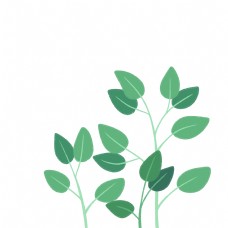 植物绿色树叶