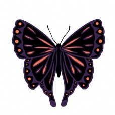 橙黑色蝴蝶