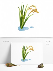 谷物水稻稻穗手绘元素