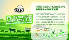 绿色食品新疆牛羊肉海报
