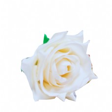 白色花一朵白色玫瑰花免扣图