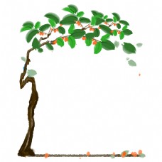植物小树相框